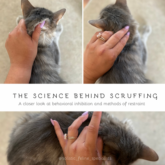 The Science Behind Scruffing