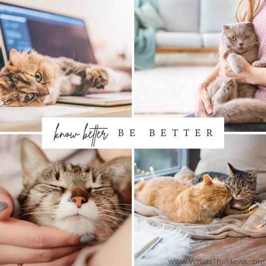 The Association of Holistic Feline Specialists