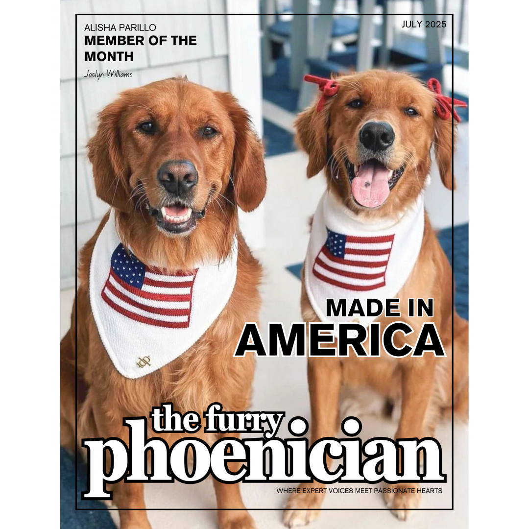 The Furry Phoenician Issue