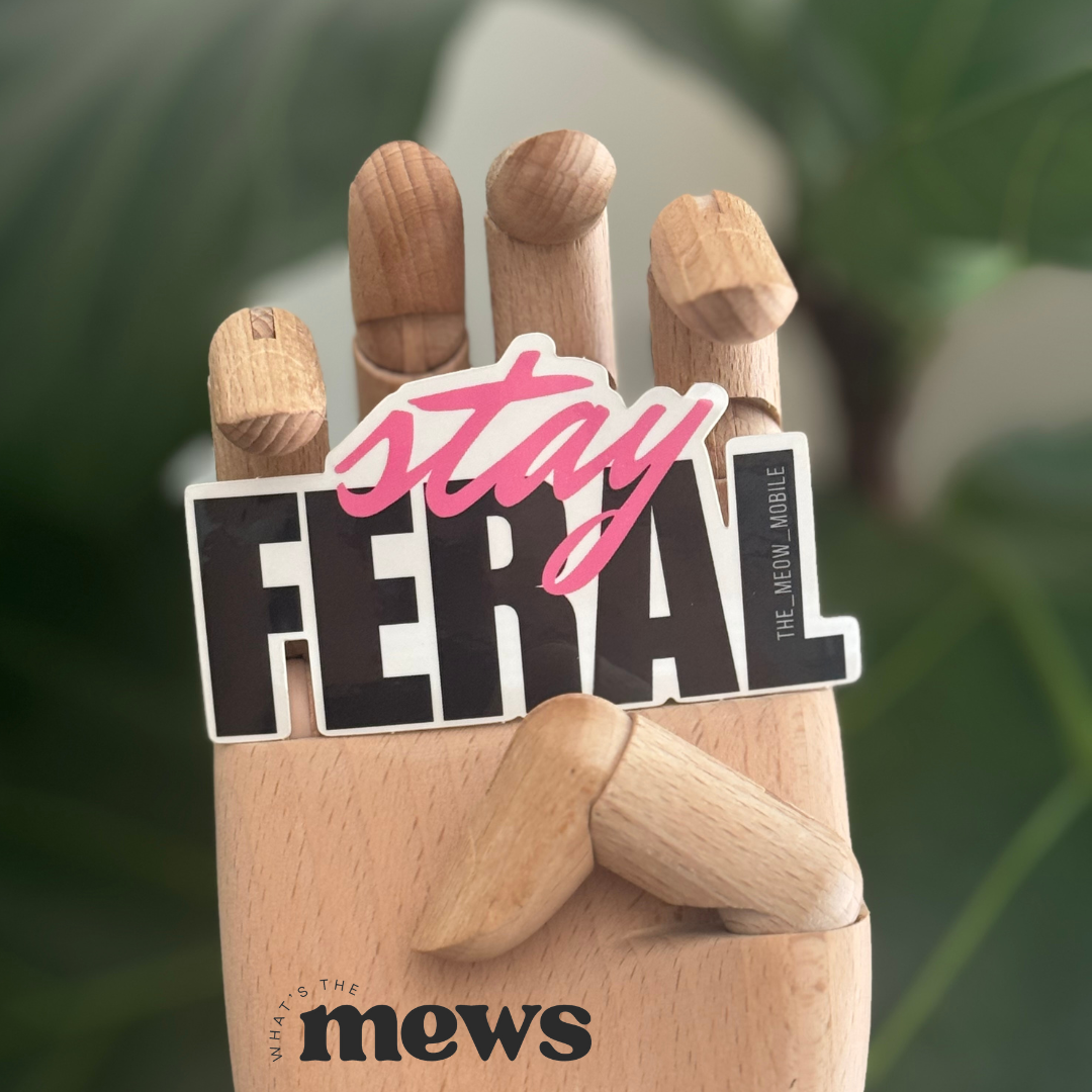 Stay Feral Sticker What s The Mews stay-feral-sticker-what-s-the-mews