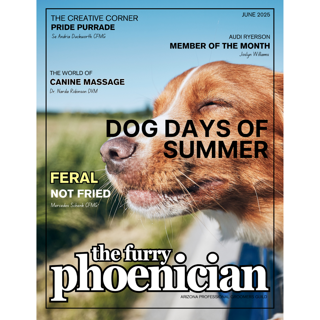 The Furry Phoenician Issue
