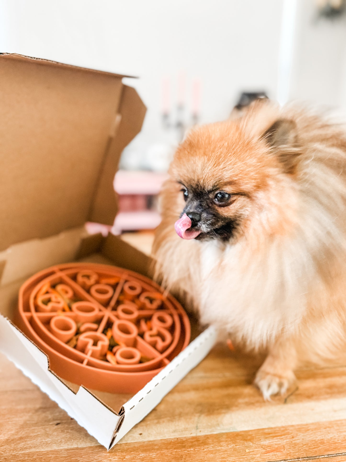 Pizza Slow Feeder Lick Mat
