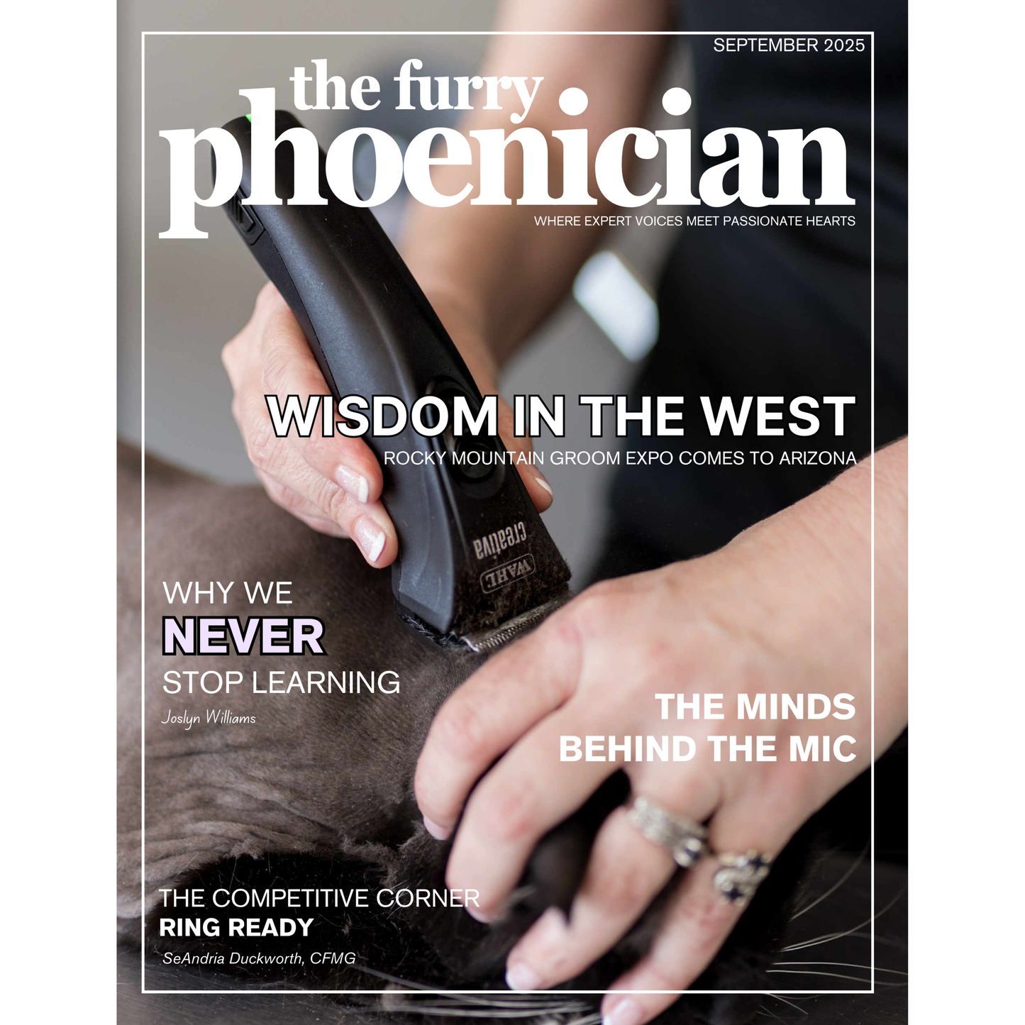 The Furry Phoenician Issue