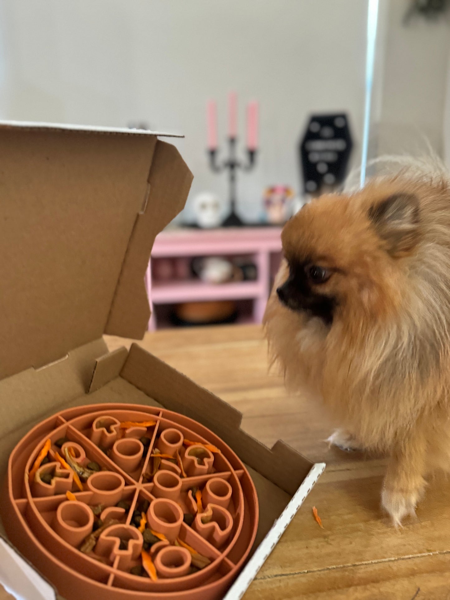 Pizza Slow Feeder Lick Mat