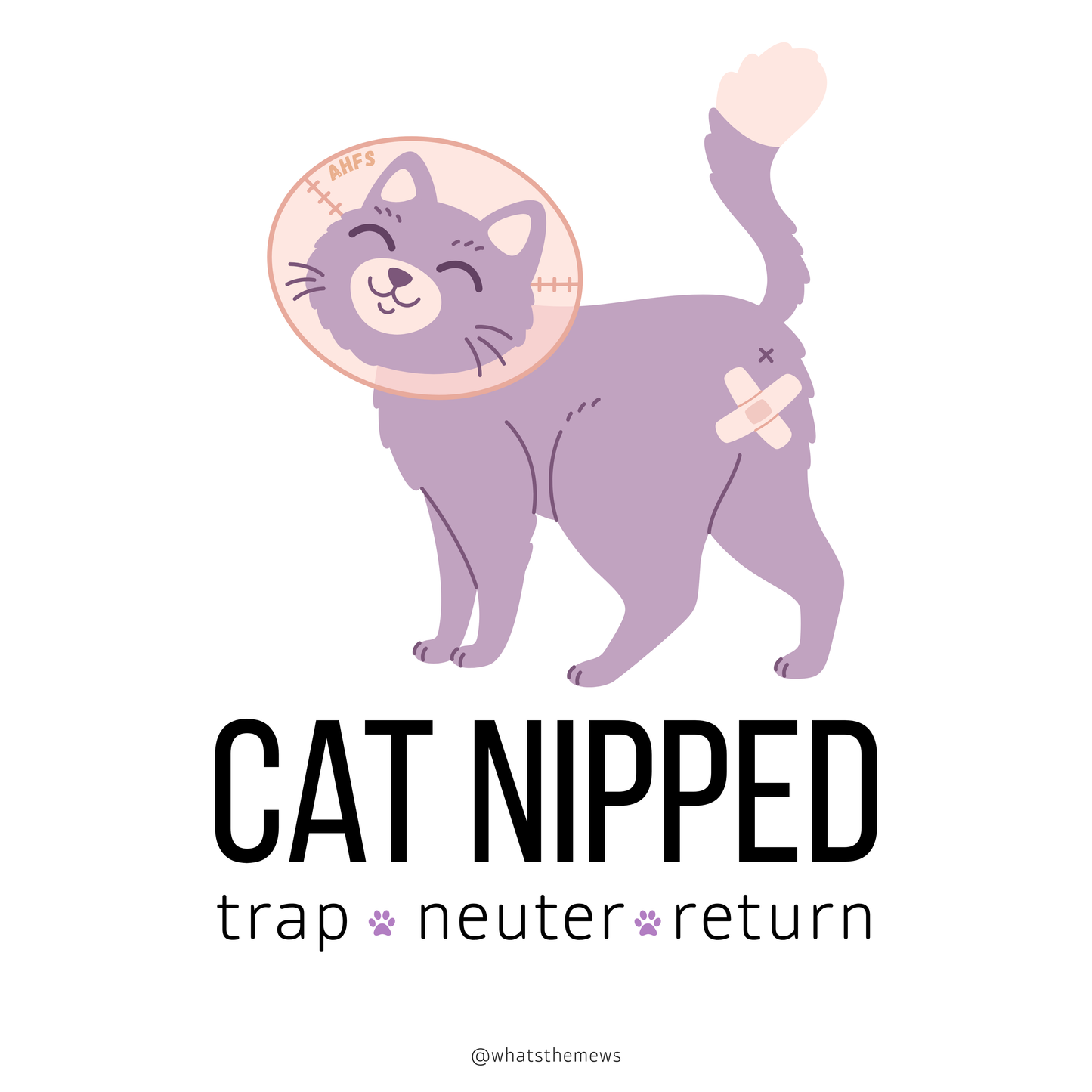Help A Cat In Need