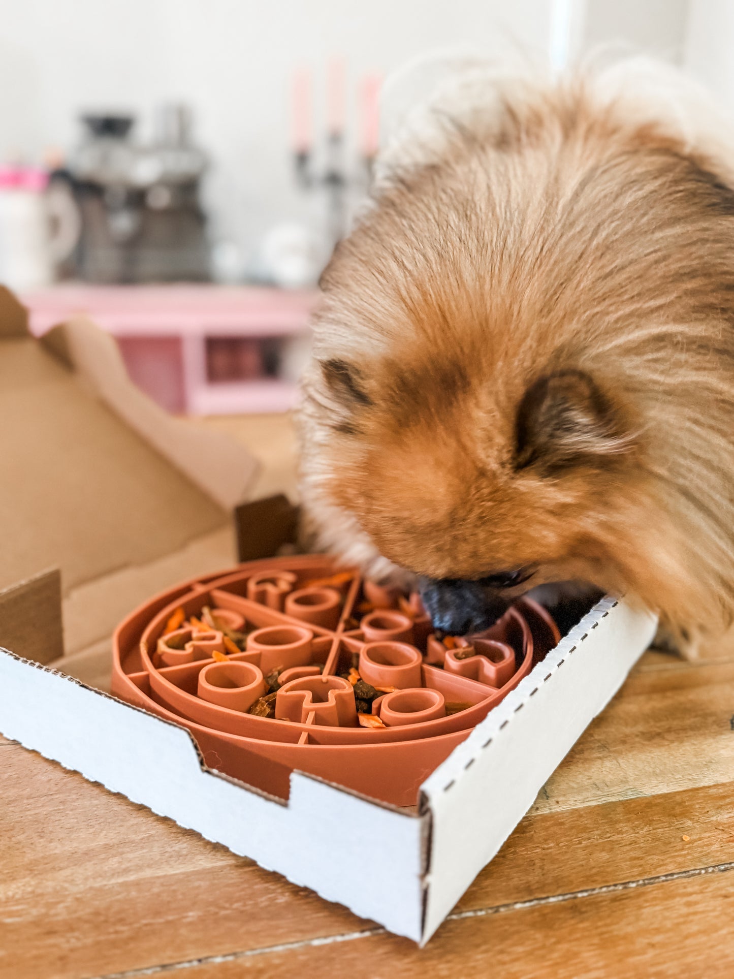 Pizza Slow Feeder Lick Mat