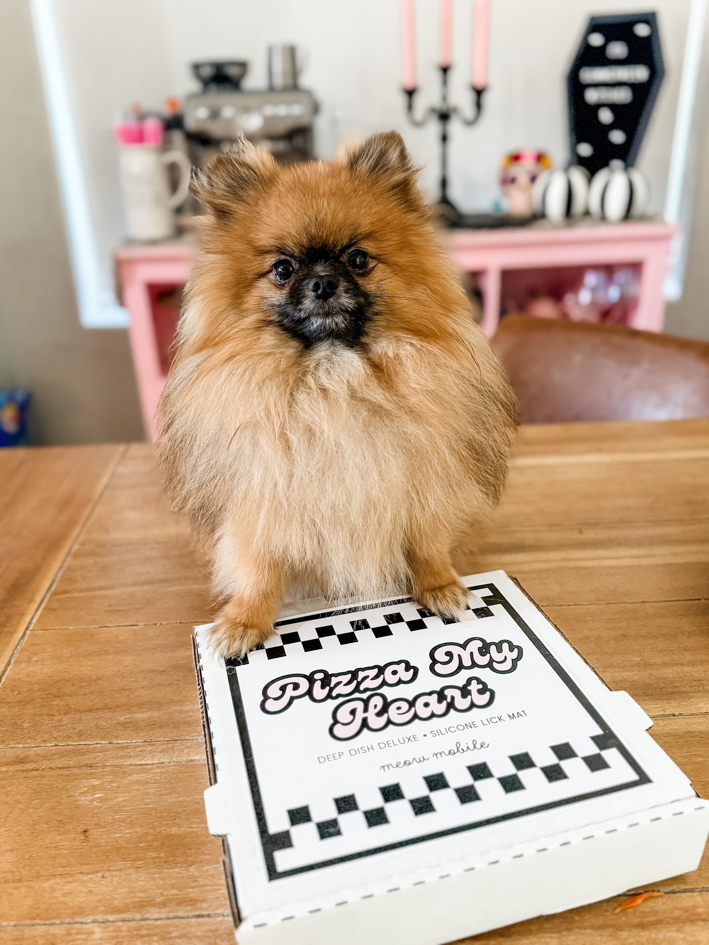 Pizza Slow Feeder Lick Mat