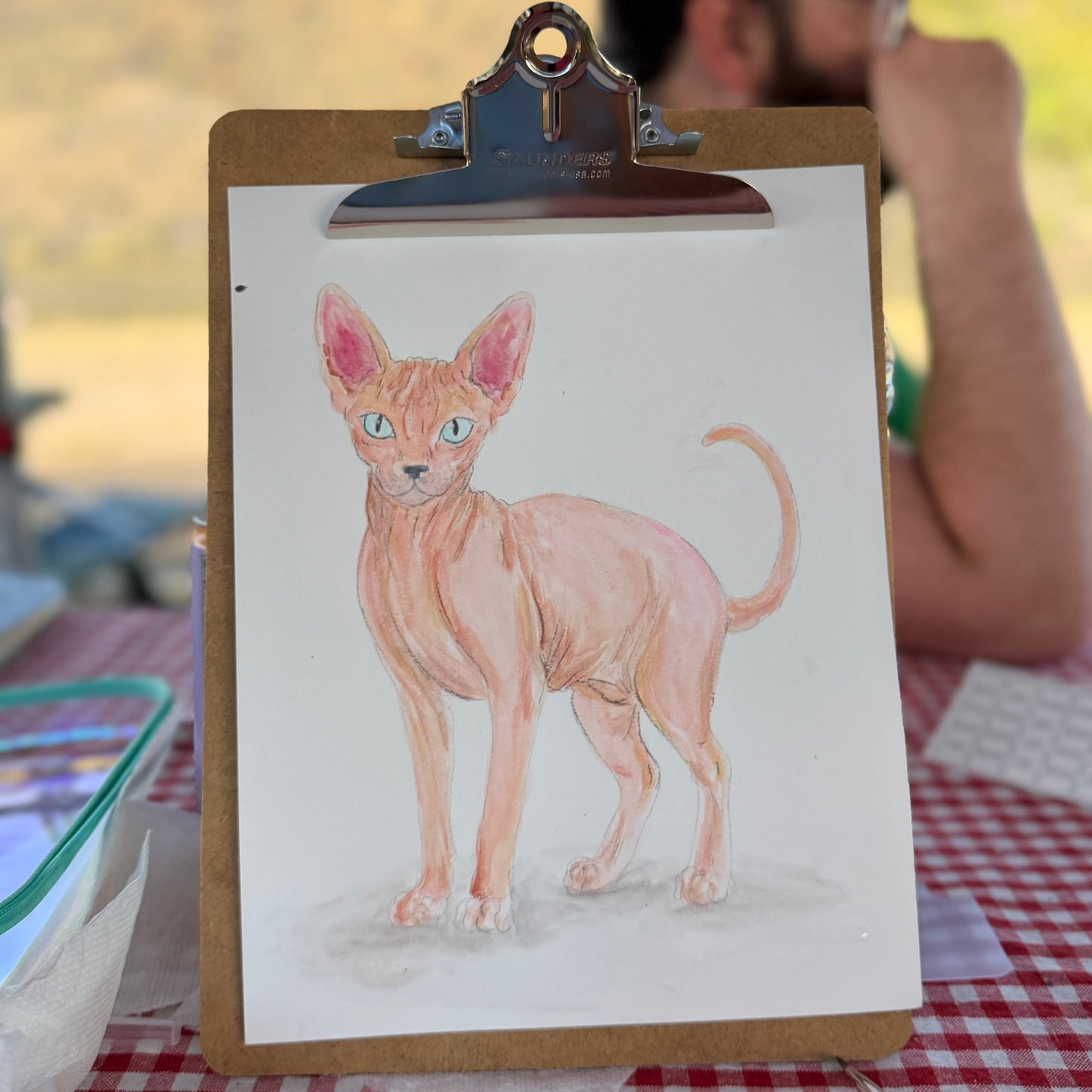 Cat Breeds Watercolor Workbooks