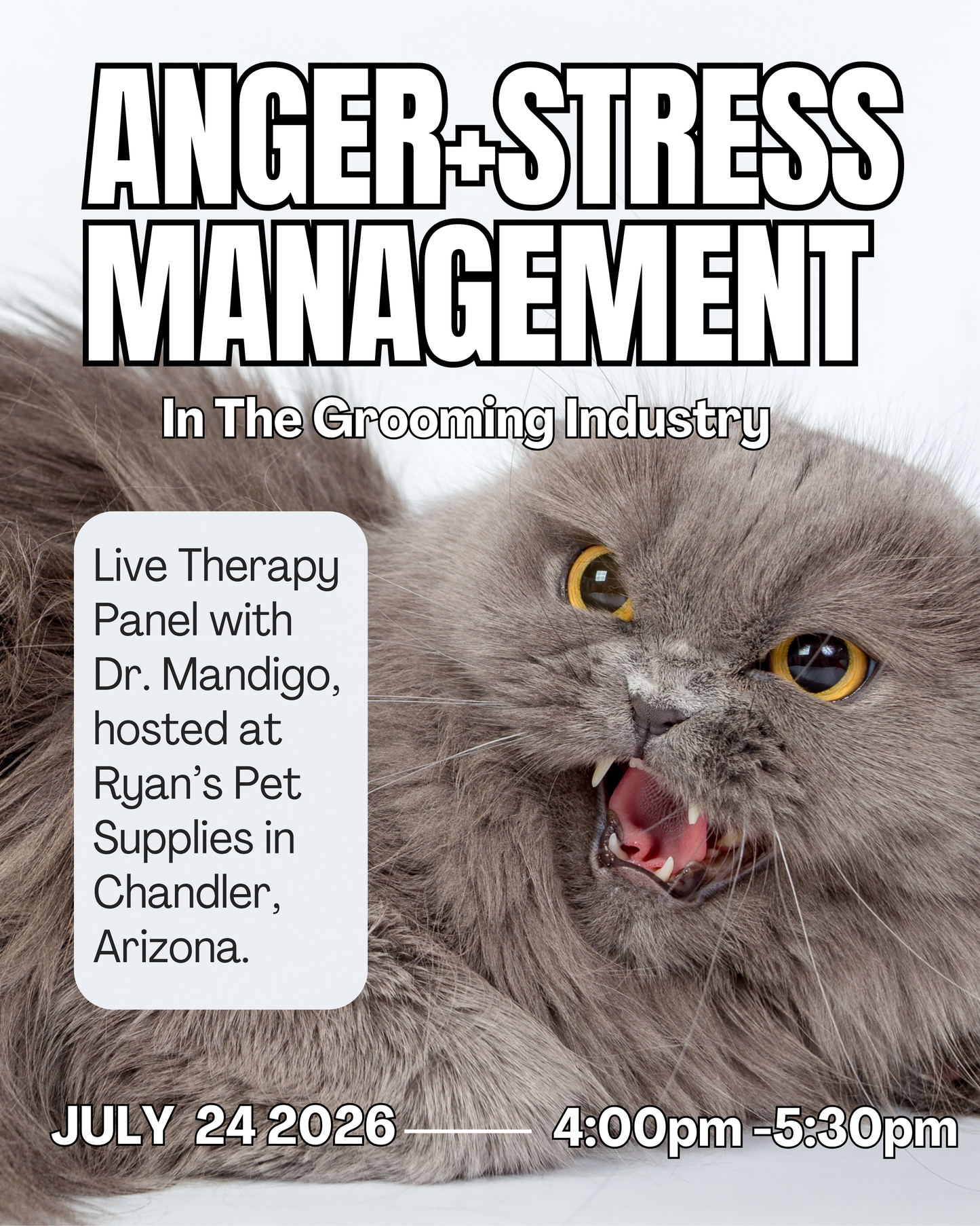 Anger + Stress Management