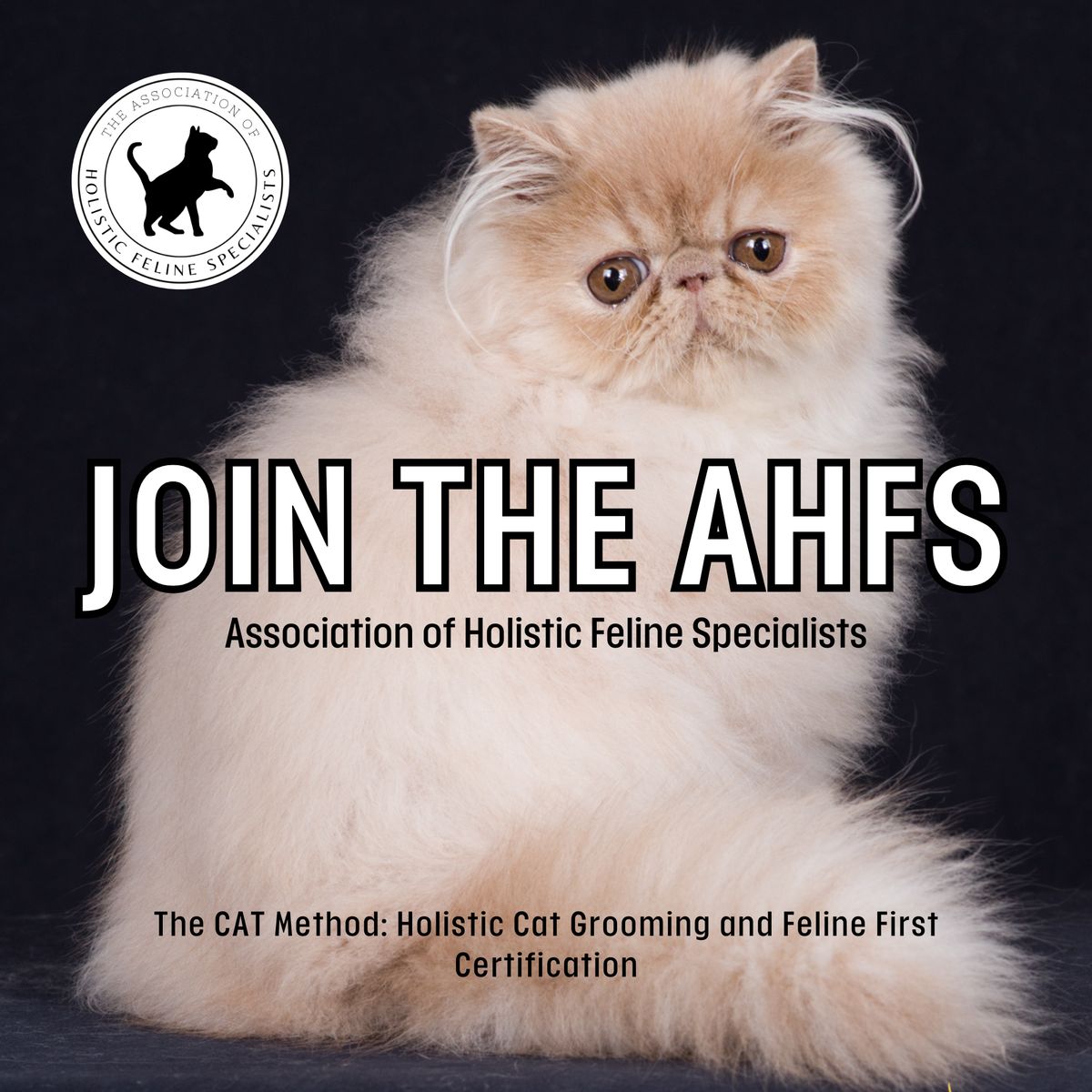 AHFS Annual Membership