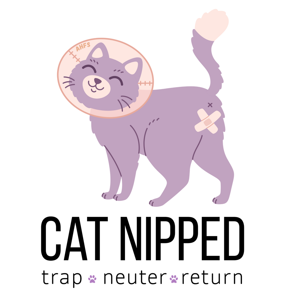 cat-nipped-tnr