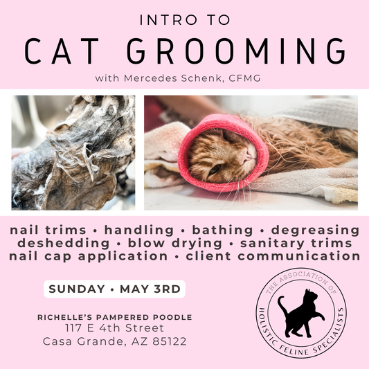 Introduction to Cat Grooming Class