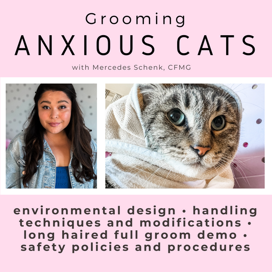 Anxious Cat Class