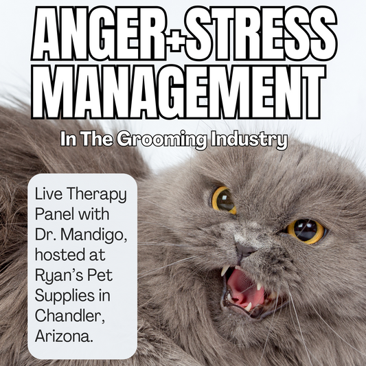 Anger + Stress Management