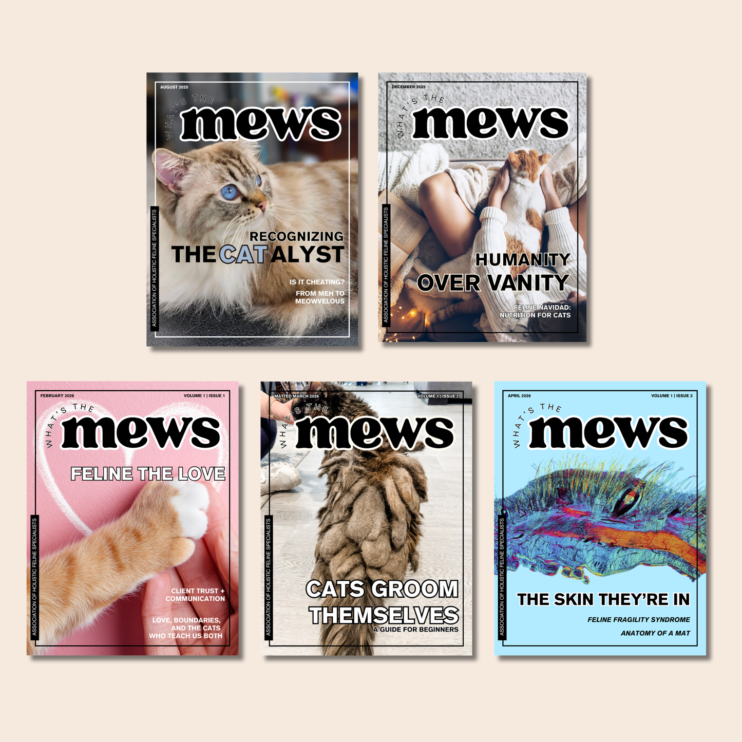 Magazine Membership