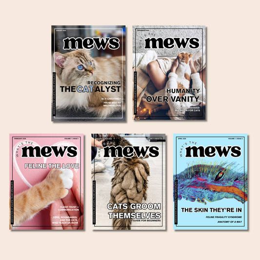 Magazine Membership