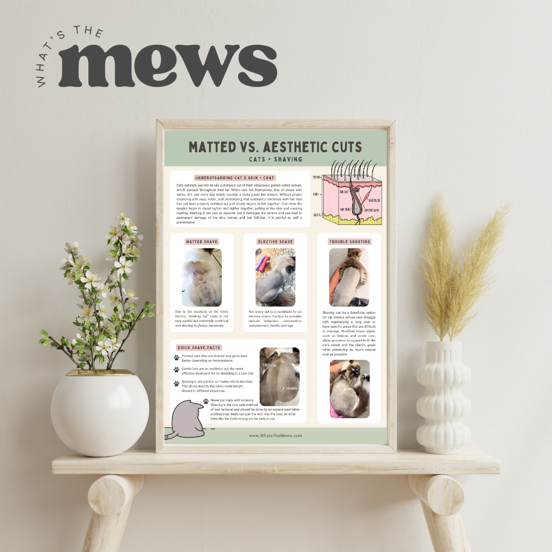 Matted vs. Aesthetic Cuts Poster