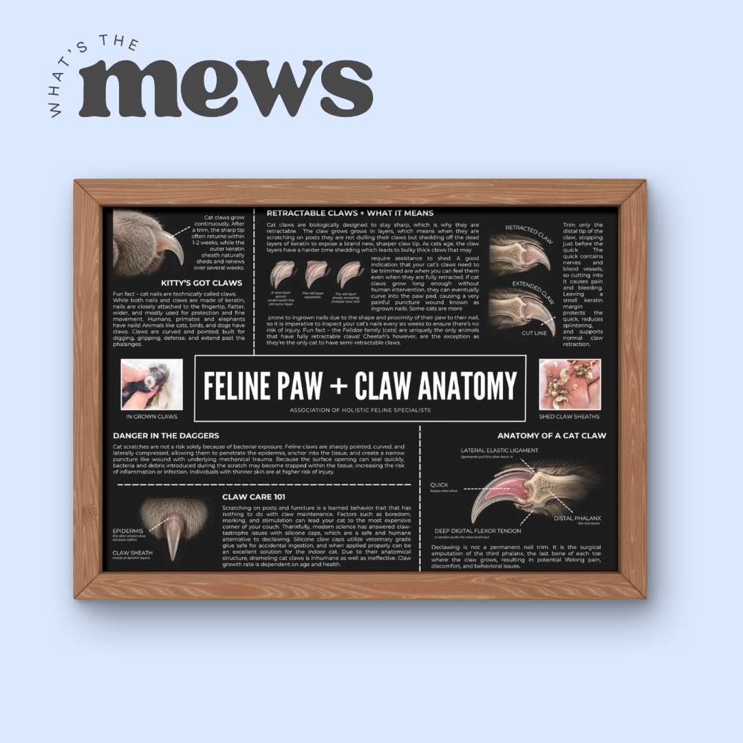 Feline Paws + Claws Poster