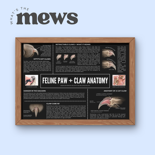 Feline Paws + Claws Poster